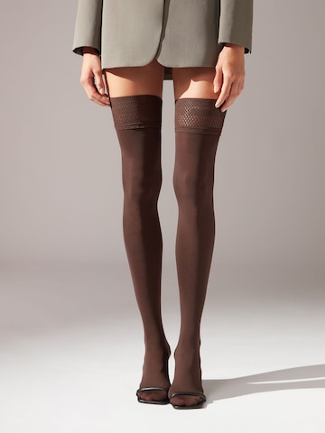 CALZEDONIA Fine Stockings in Brown