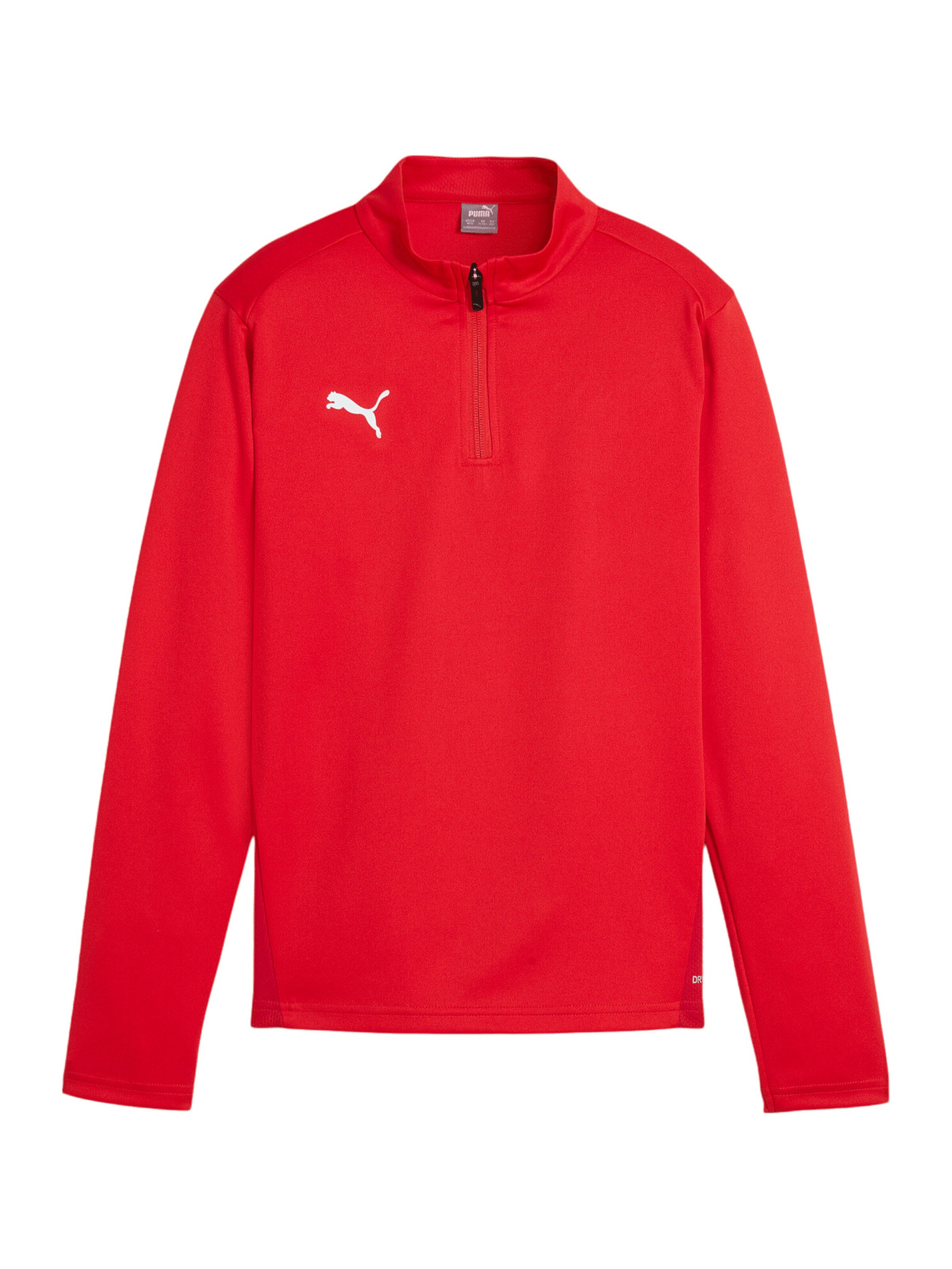 PUMA Funktionsshirt 'TeamGoal' in Rot: Vorderseite