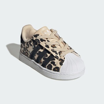 ADIDAS ORIGINALS Trainers 'SUPERSTAR II' in Beige