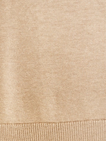 Funky Buddha Tröja i brun