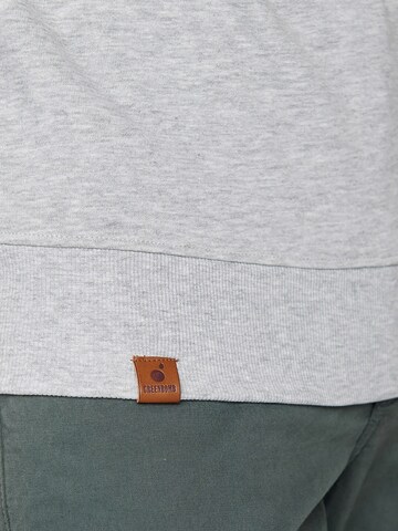 Felpa di GREENBOMB in grigio