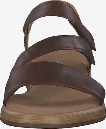 GABOR Sandale 'Comfort' in Braun