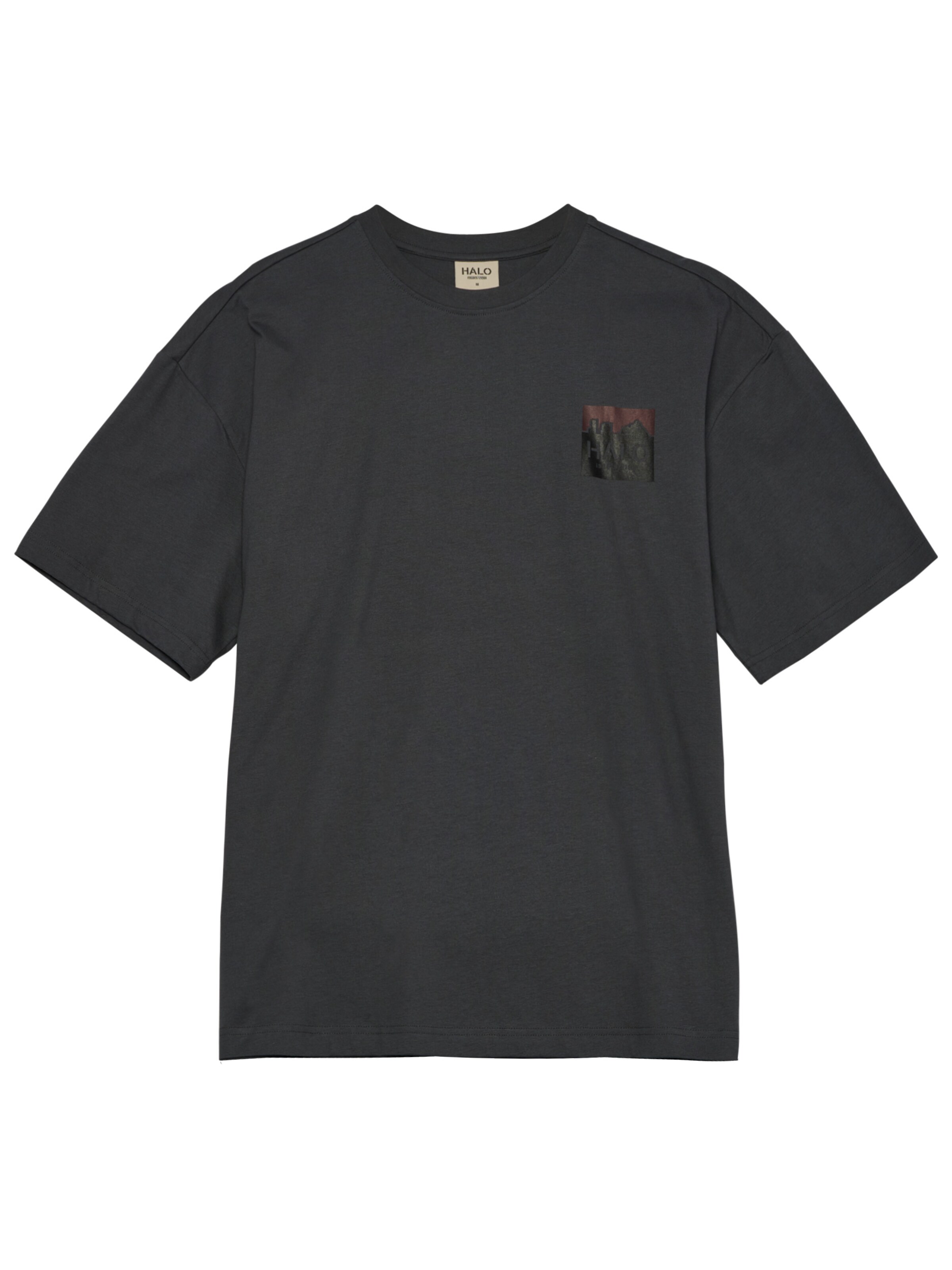 HALO Shirt in Grey: front