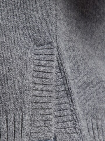 pelēks & Other Stories Veste