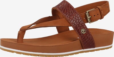 TIMBERLAND Zehentrenner in braun, Produktansicht