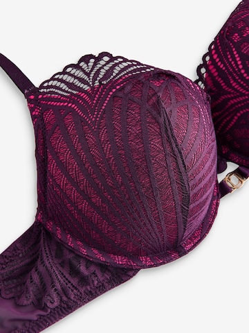 Lipsy T-Shirt BH in Lila