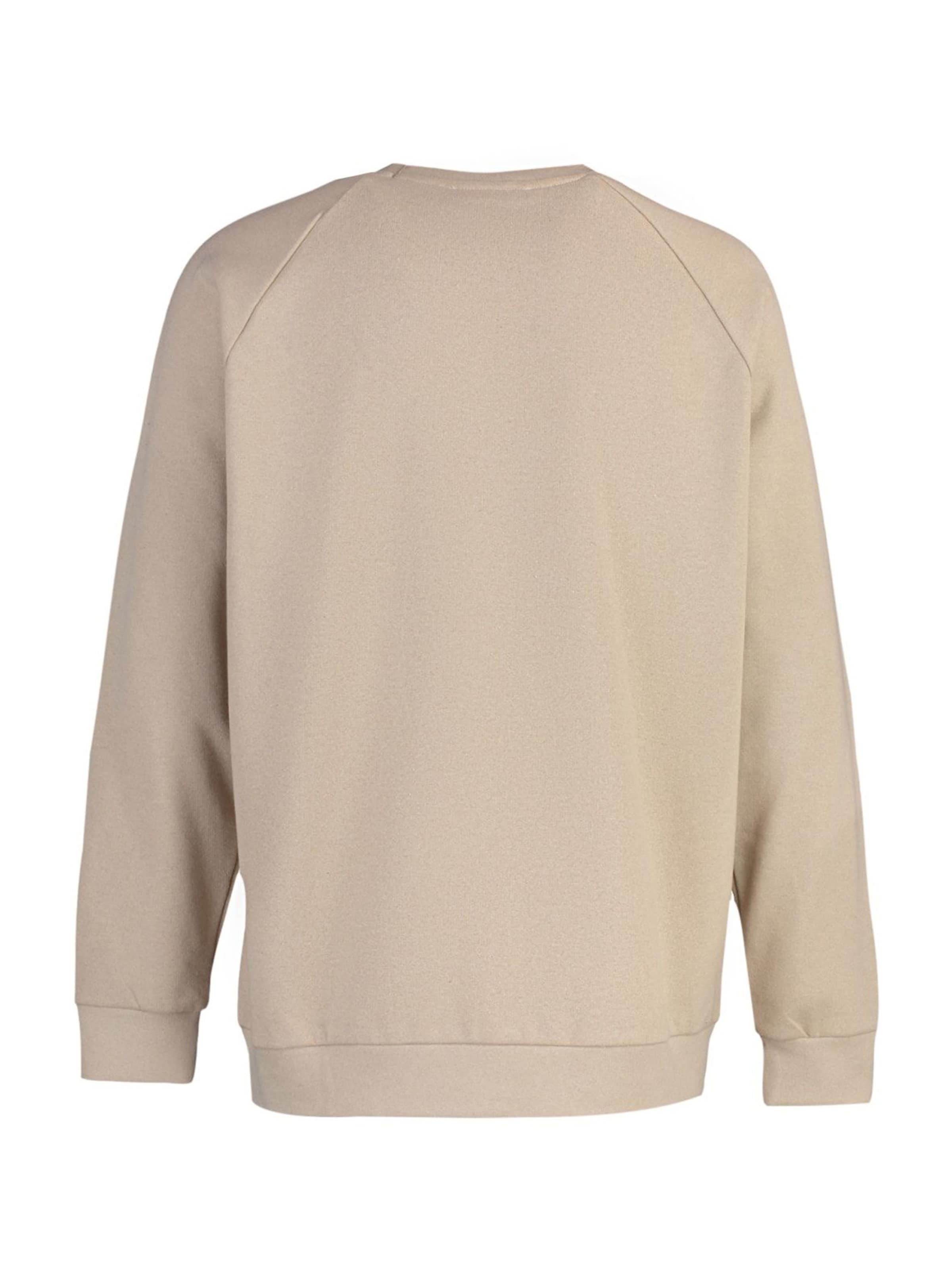 Trendyol Sweatshirt in Beige