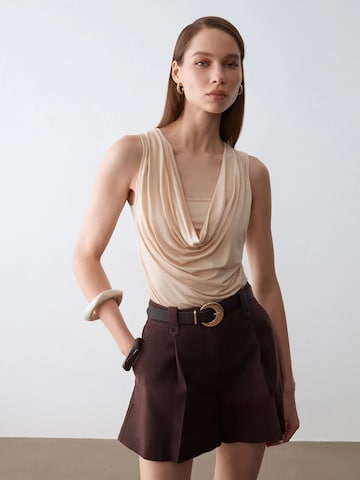 Dilvin Wide leg Trousers in Brown: front