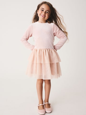 Next Dress in Pink