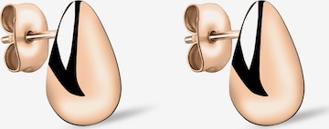 Liebeskind Berlin Ohrringe in Gold: Vorderseite