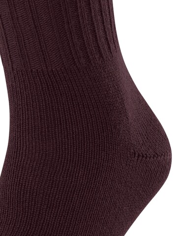 FALKE Socks 'Nelson' in Red