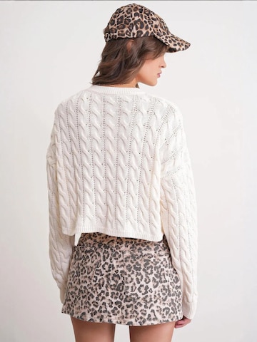 Pullover 'Pullover' di MixRay in beige