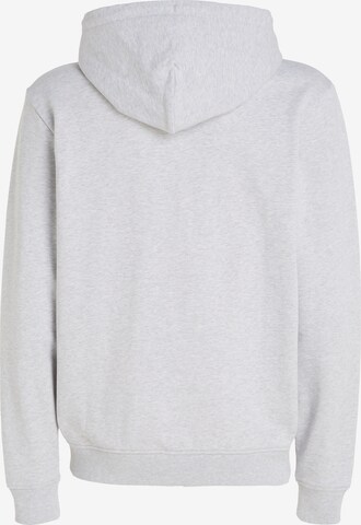 Tommy Jeans Sweatshirt 'REG ENTRY' in Grau