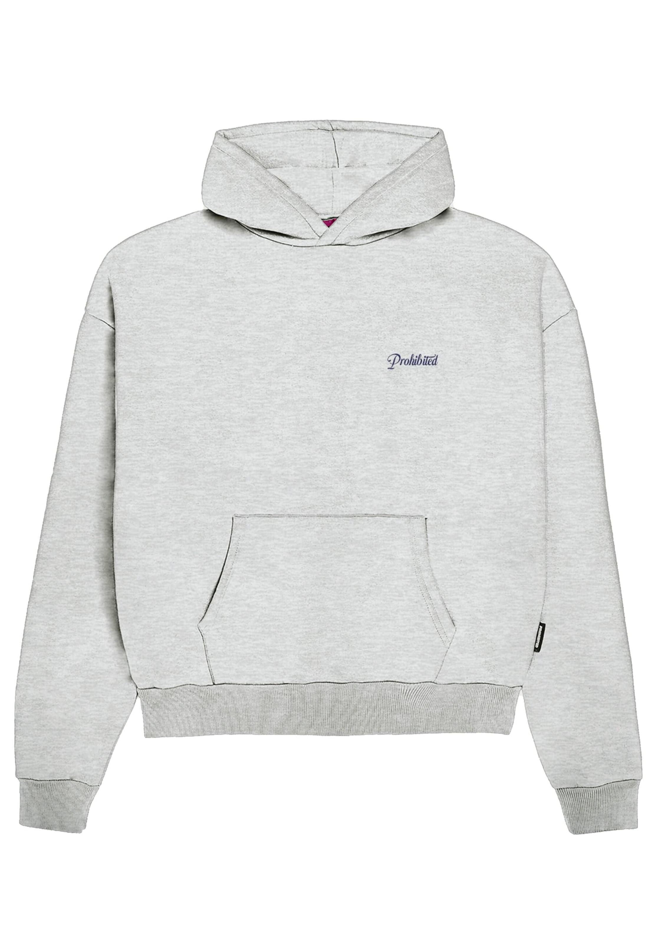 Prohibited - Sweatshirt em cinzento: frente