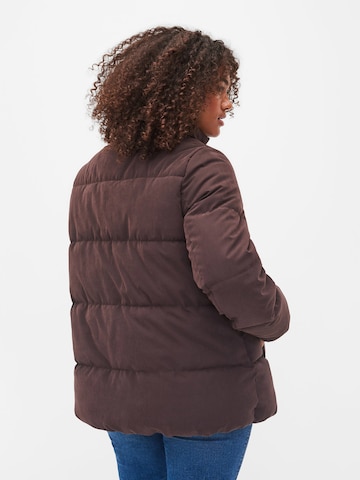 Zizzi Between-Season Jacket 'CAPEACHY' in Brown