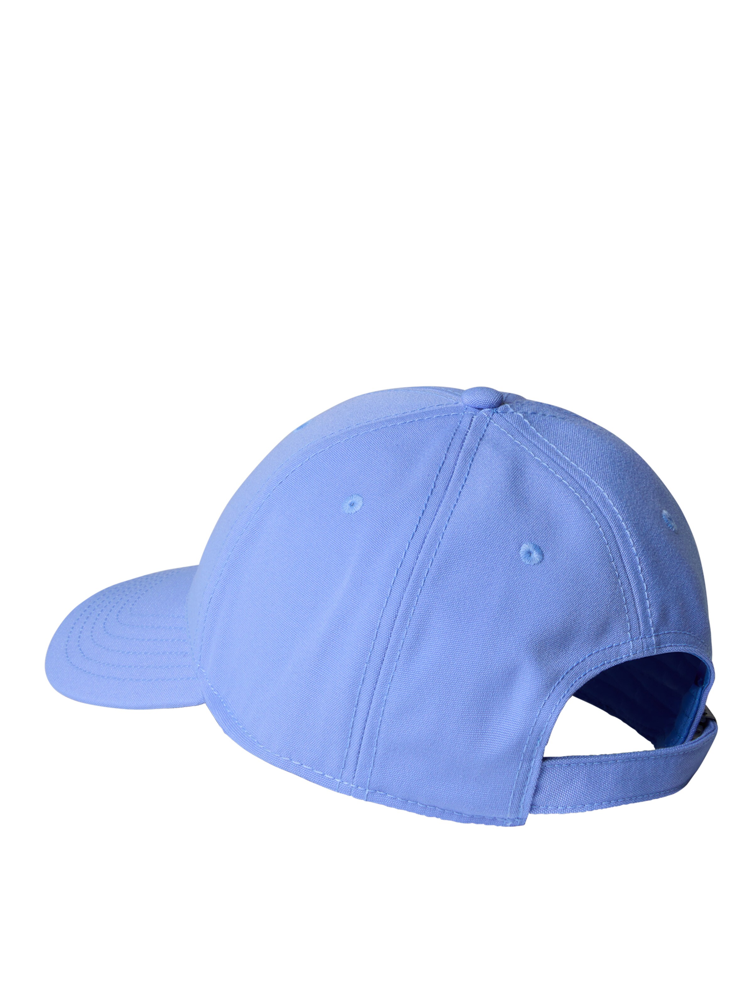 THE NORTH FACE Cap 'Classic' in Blue