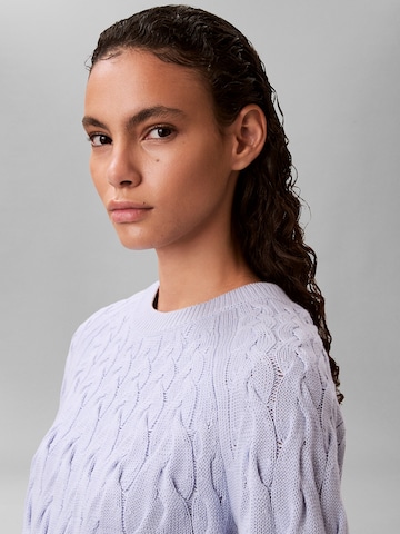 Calvin Klein Jeans Trui in Blauw