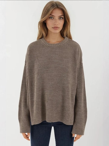Hiccup - Pullover oversized em castanho: frente