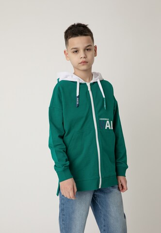 Gulliver Zip-Up Hoodie in Green: front