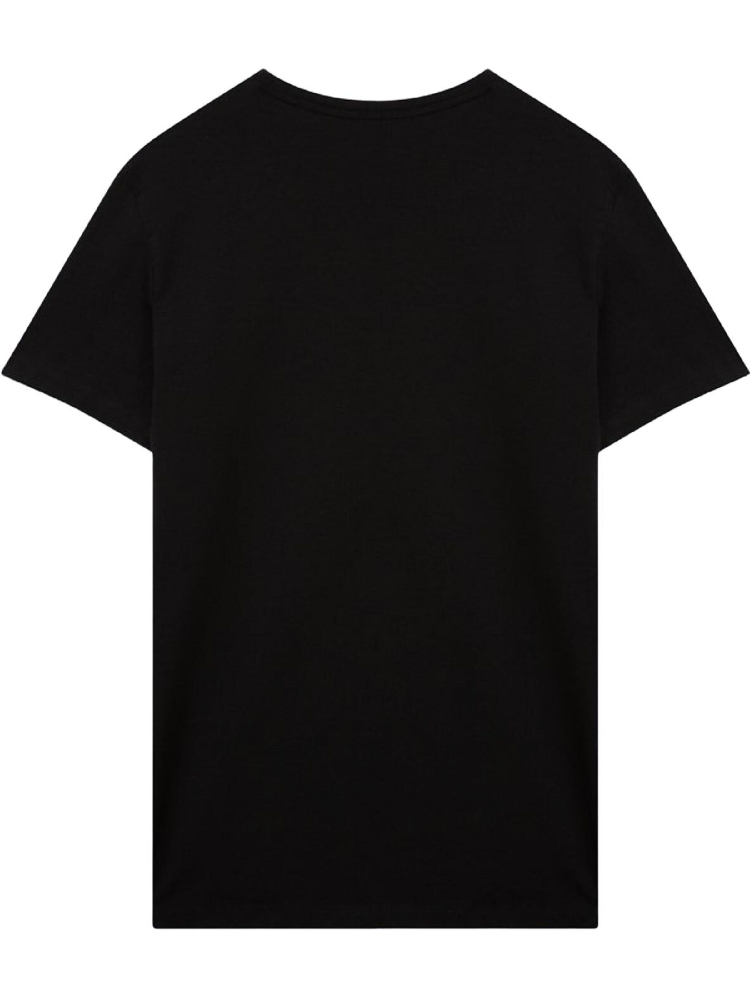 LTB Jeans Shirt 'Stretch V-Neck T-Shirt' in Black: front