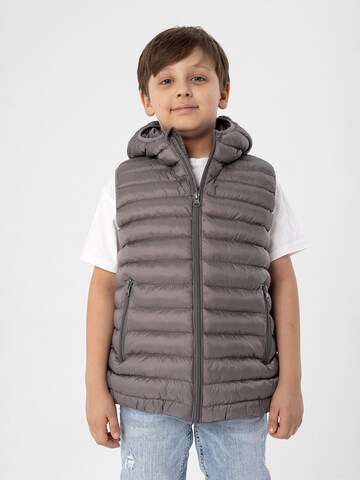 Daniel Hills - Chaleco en gris: frente