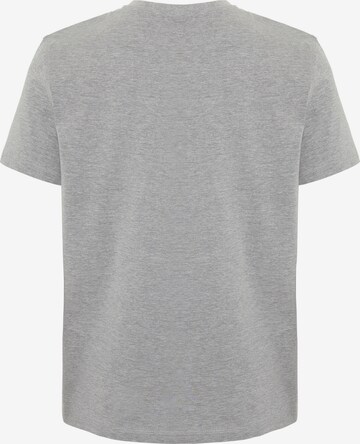 Colorado Denim T-Shirt in Grau