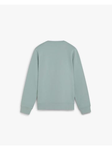 Scalpers Collegepaita värissä vihreä