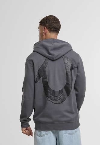 Sweat-shirt True Religion en gris
