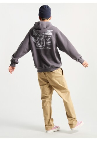 VANS Sweatshirt 'Earthbound' in Grey