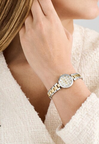 Ted Baker Uhr in Gold: Vorderseite