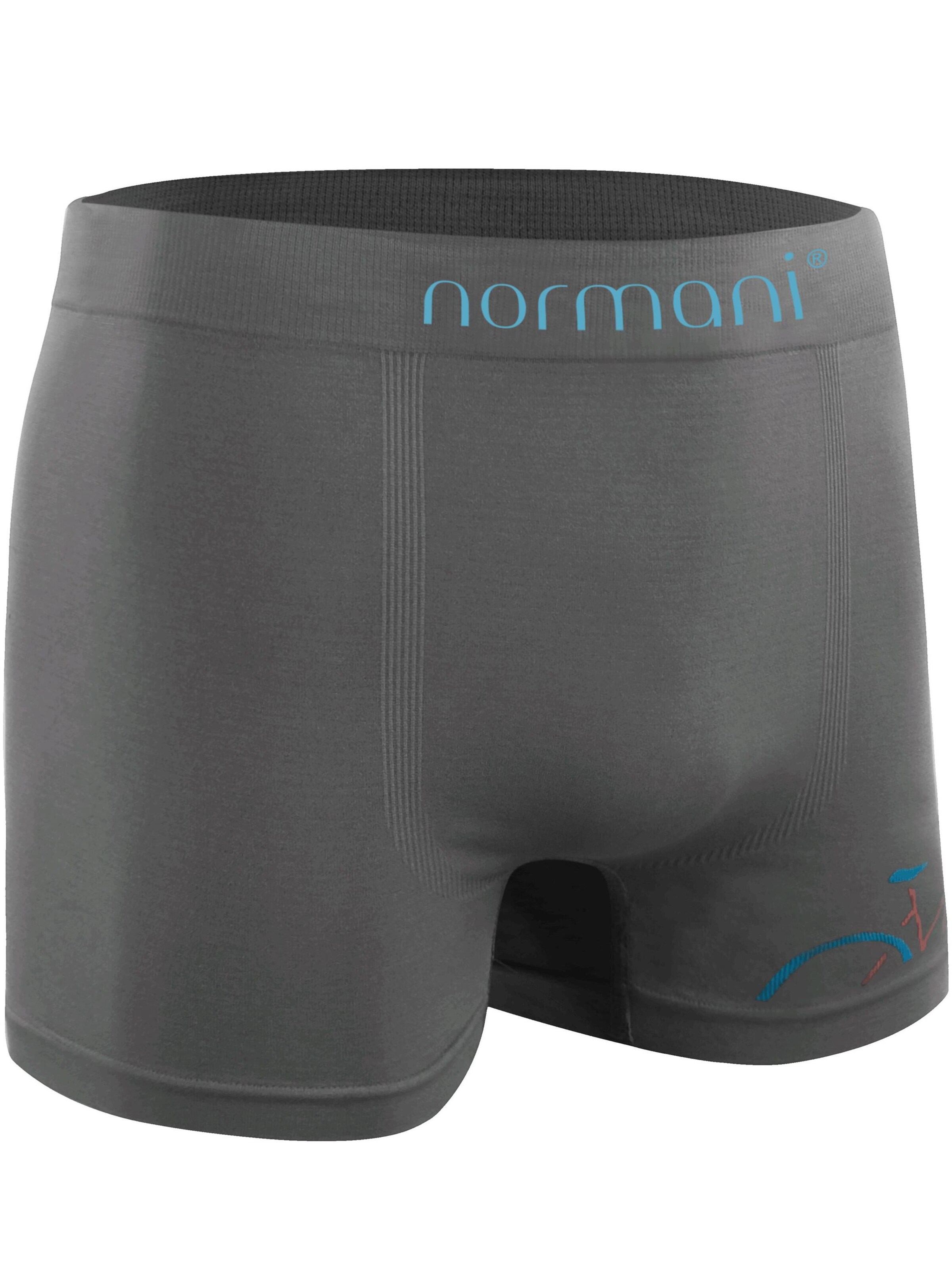 Boxers normani en gris