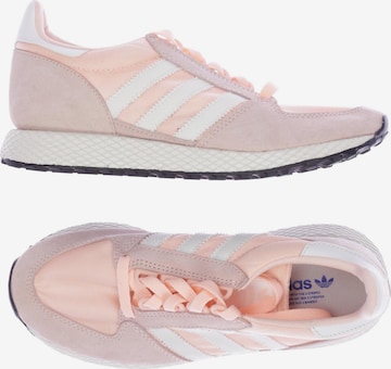 ADIDAS ORIGINALS Sneakers & Trainers in 37,5 in Pink: front