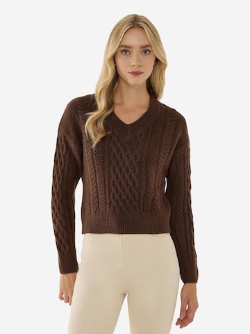 Hiccup Sweater in Brown: front