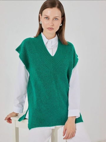 Hiccup Sweater in Green: front