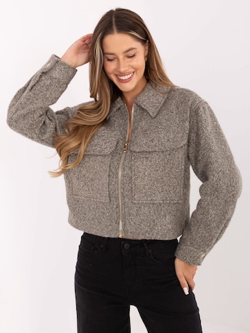 Madnezz House Winterjacke in Grau: Vorderseite