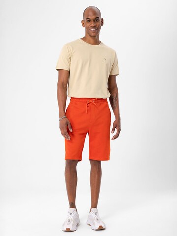 Regular Pantalon By Diess Collection en beige