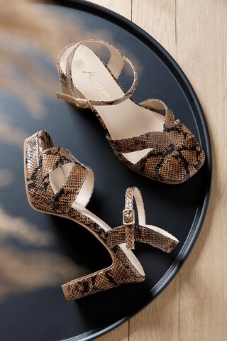 Aniston Pumps in Braun