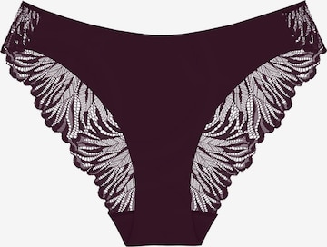 Slip TRIUMPH en violet : devant