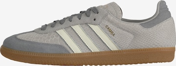 ADIDAS ORIGINALS - Sapatilhas baixas 'Samba' em cinzento: frente