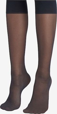 CALZEDONIA Knee High Socks in Blue: front