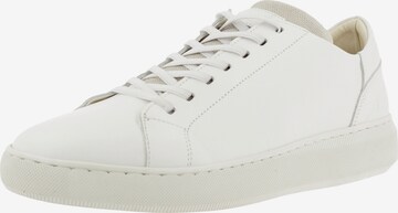 Baskets basses BULLBOXER en blanc : devant