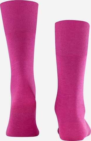 FALKE Socken in Pink