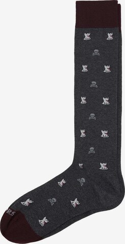 Scalpers Socks in Grey: front