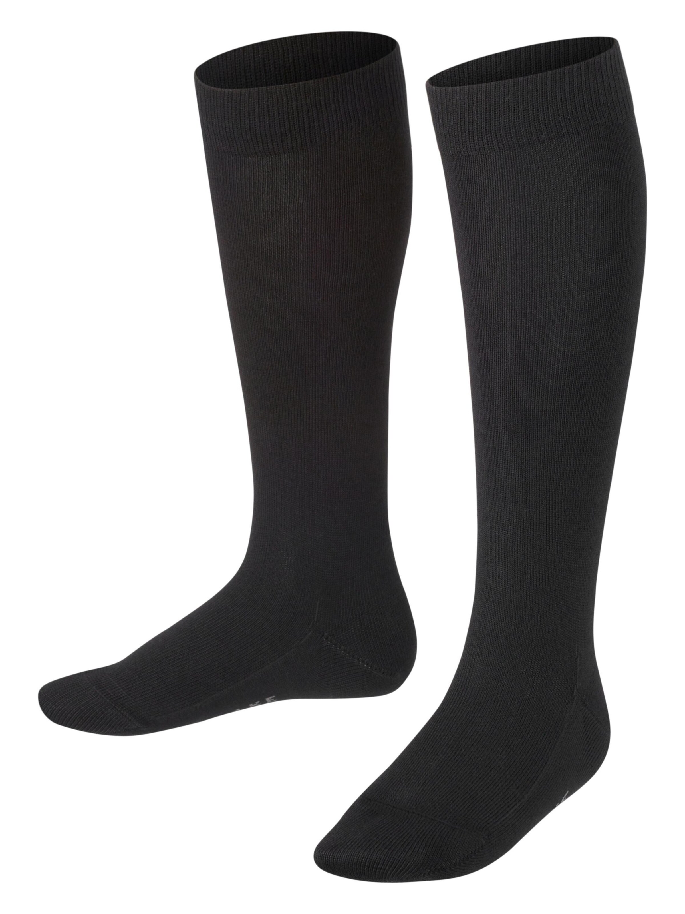 FALKE Socks 'Family' in Black: front
