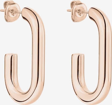 Liebeskind Berlin Earrings in Gold: front