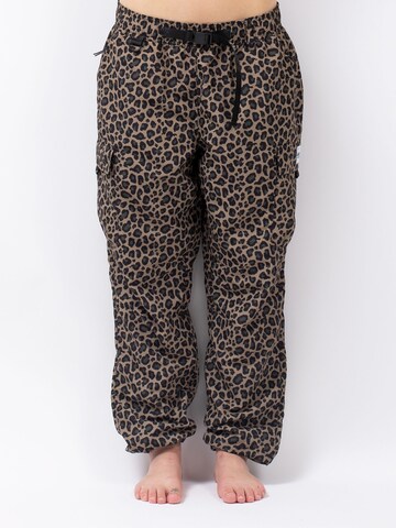 Eivy Outdoor trousers in Brown: front