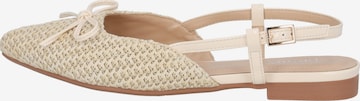 Ballerines 'Yvnee' Palado en beige : devant