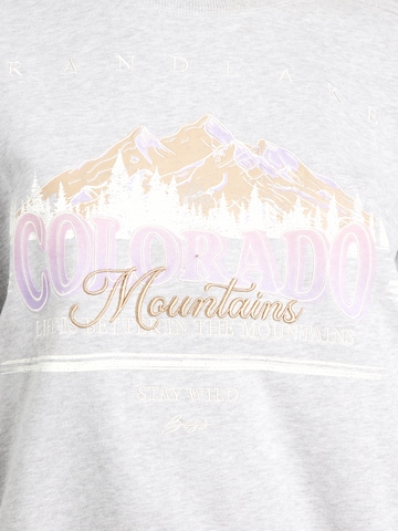 BOSS Sweatshirt 'C_Eland_2' in Grey