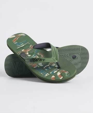 Superdry Teenslippers in Groen