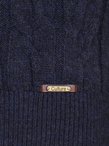 DENIM CULTURE Sweater in Blue